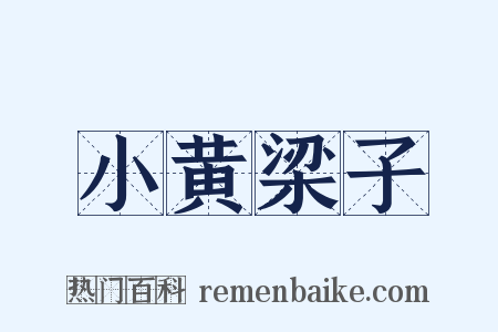 小黄梁子是什么意思的图片
